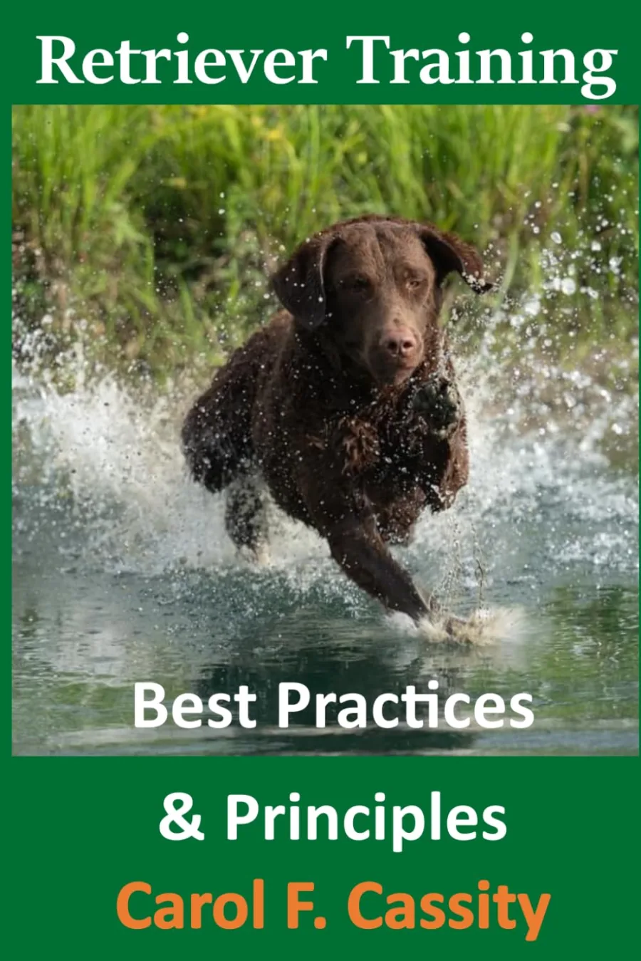 Retriever Training: Best Practices and Sound Advice