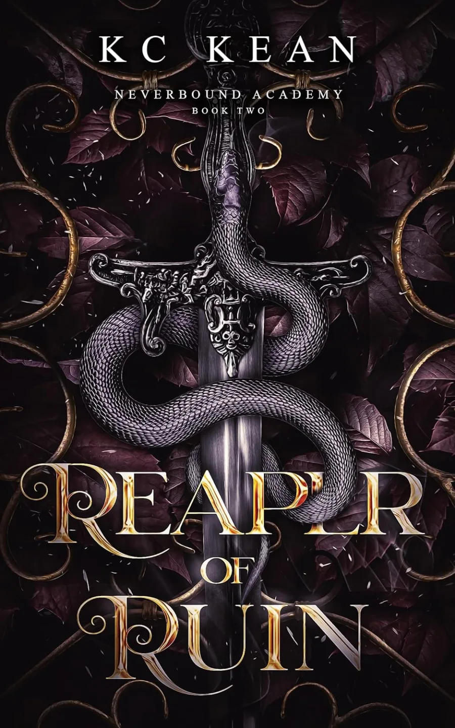 Reaper of Ruin: A Fantasy Fated Mates Academy Romance
