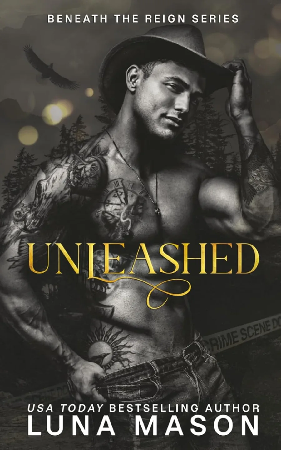 UNLEASHED: A Dark Mafia Cowboy Romance