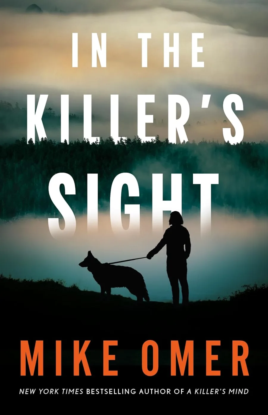 In the Killer's Sight (Kate Marino Thriller Book 1)