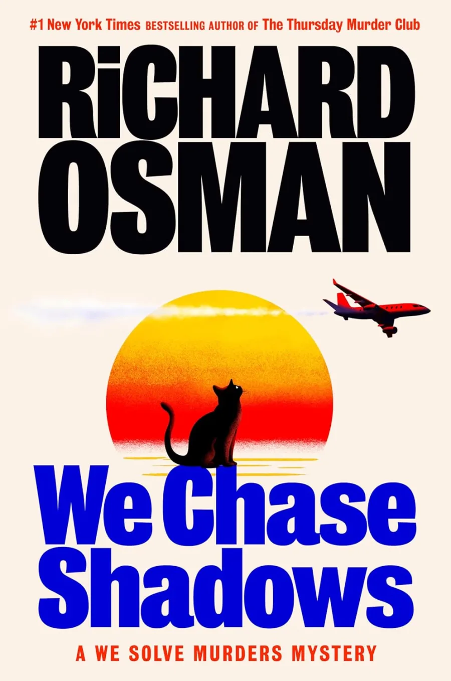 We Chase Shadows: A We Solve Murders Mystery