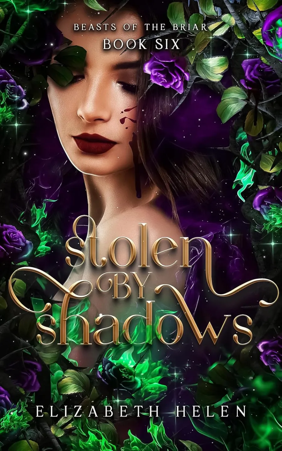 Stolen by Shadows (Beasts of the Briar Book 6)