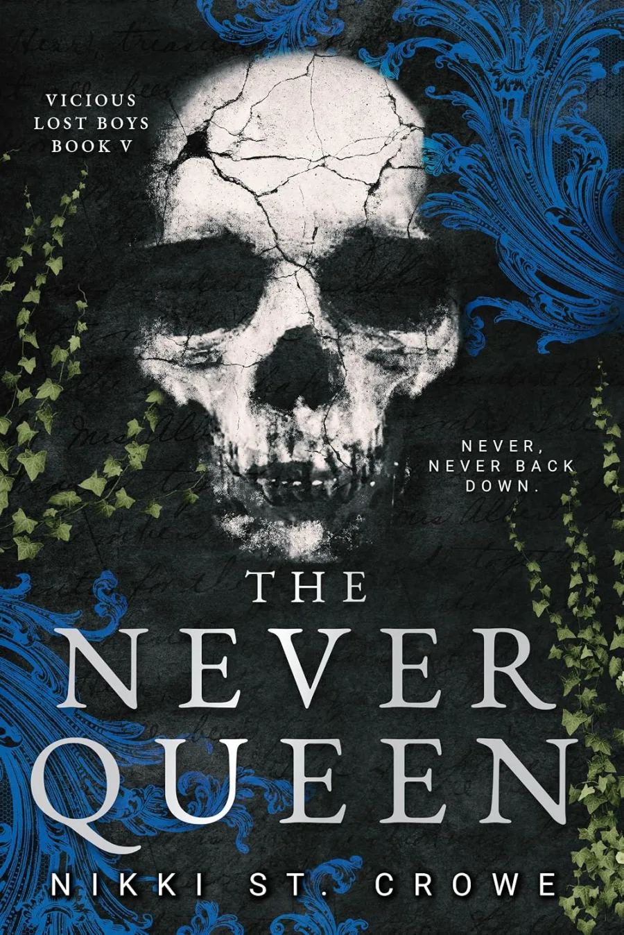 The Never Queen (Vicious Lost Boys Book 5)