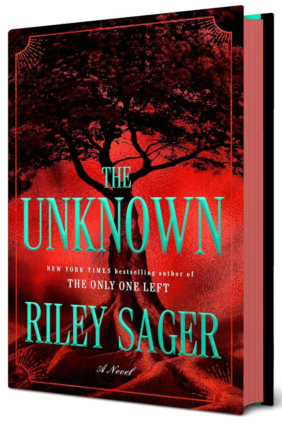 The Unknown: A Novel