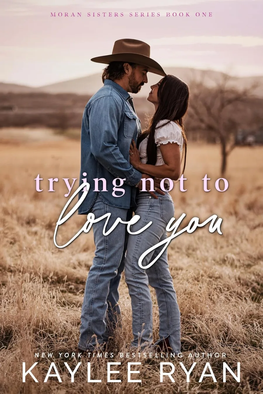 Trying Not to Love You (Moran Sisters Book 1)