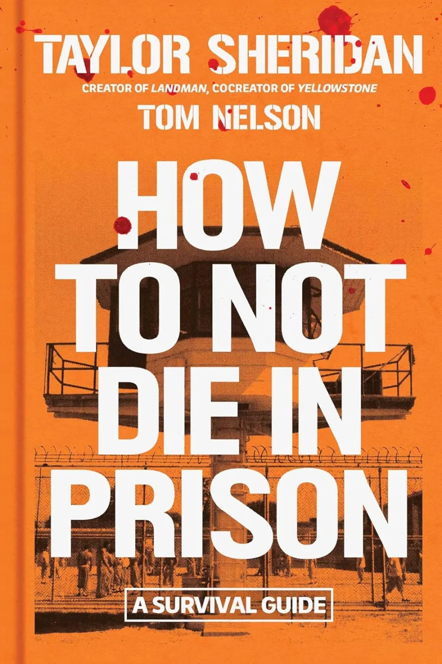 How to Not Die in Prison: A Survival Guide