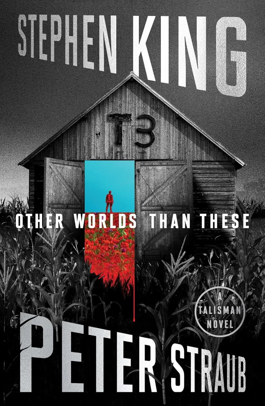 Other Worlds Than These: A Talisman Novel (The Talisman Trilogy)