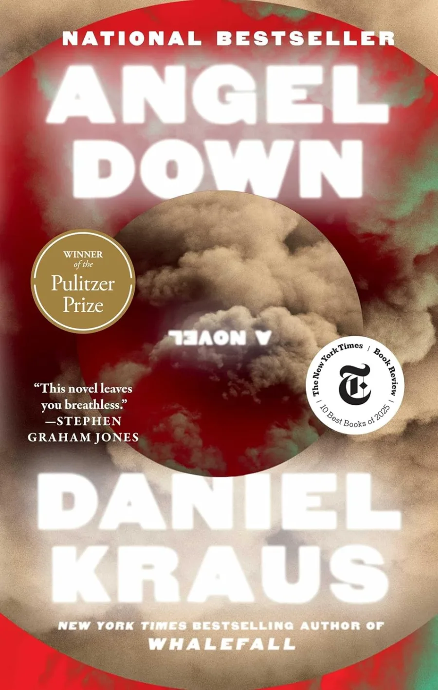 Angel Down: A Novel