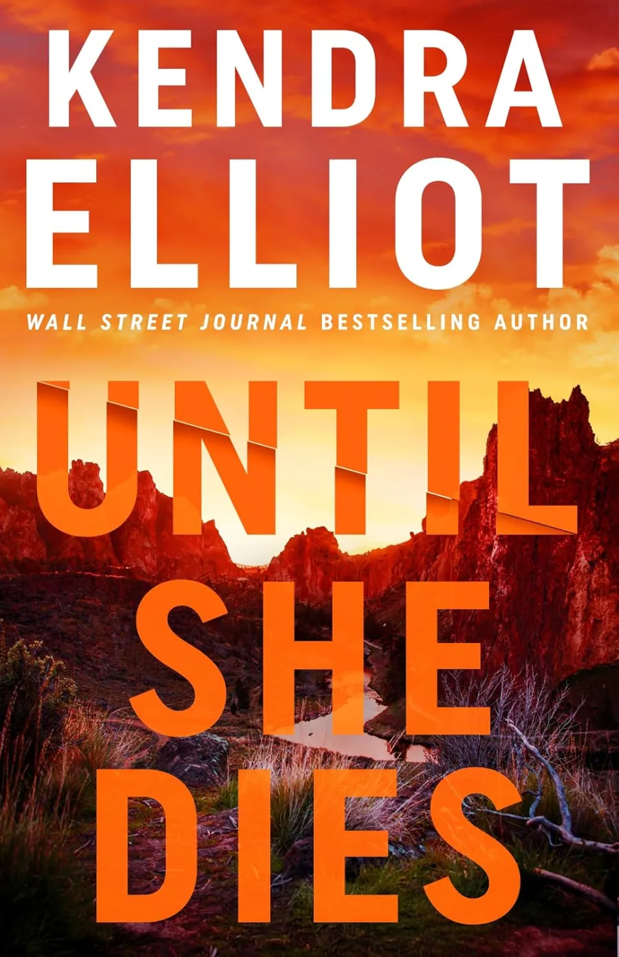 Until She Dies (Noelle Marshall Book 3)