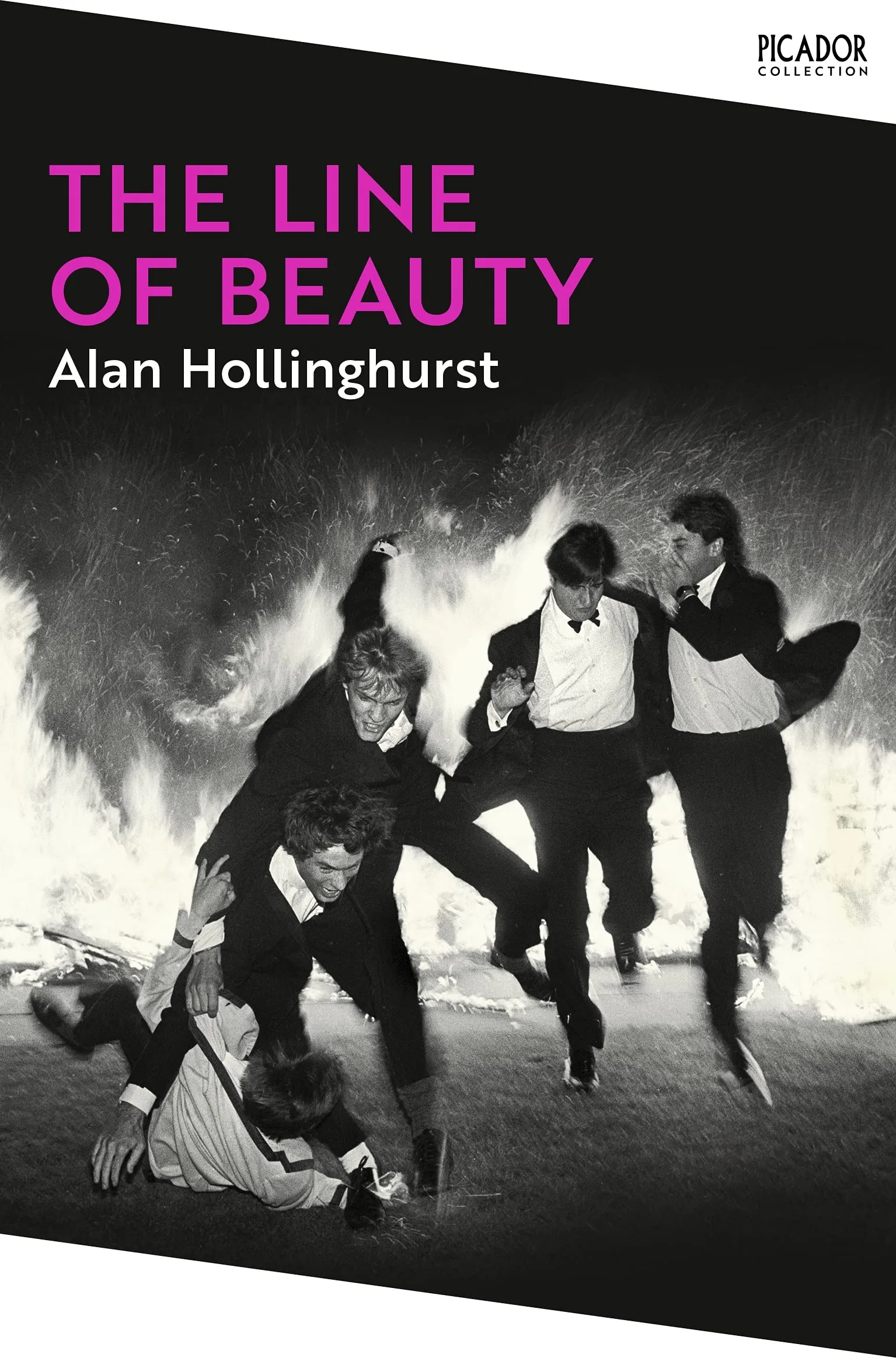 The Line of Beauty: Picador Classic