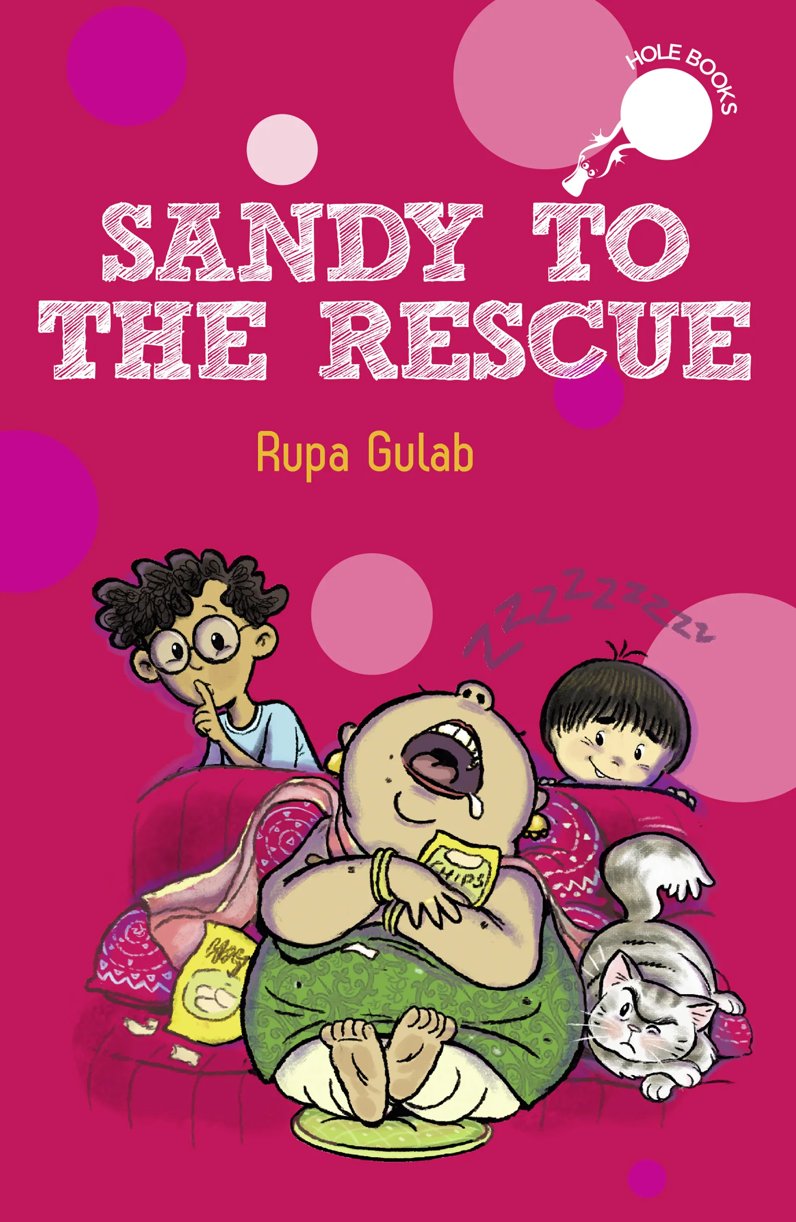 Sandy to the Rescue (Hole Books)