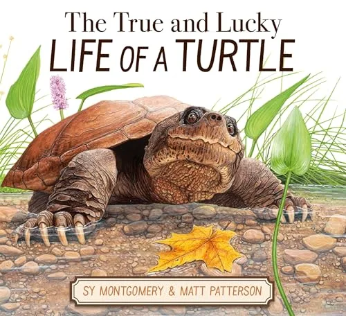 True and Lucky Life of a Turtle