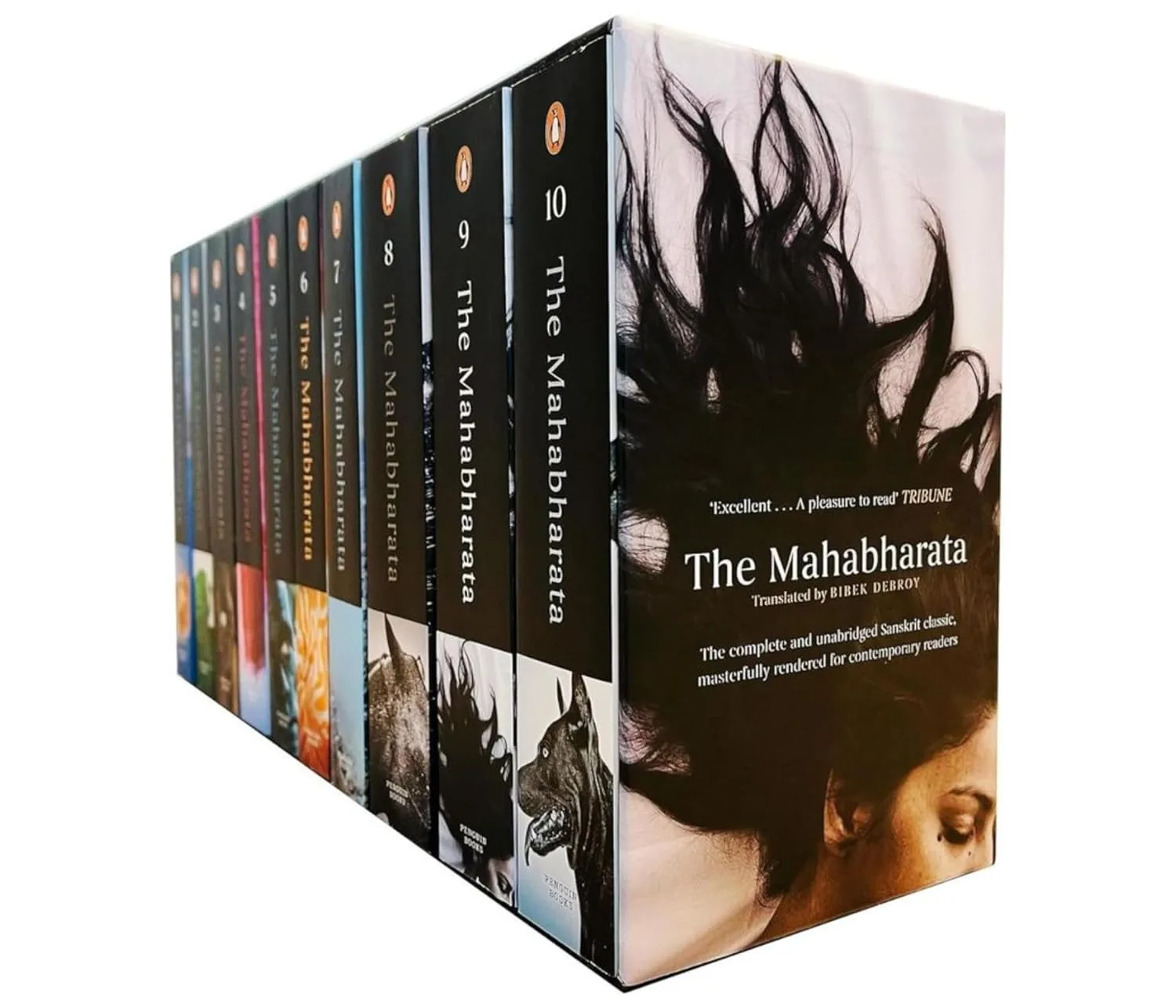 Mahabharata, The (Box set)