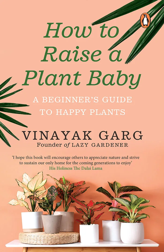 How To Raise A Plant Baby: A Beginner's