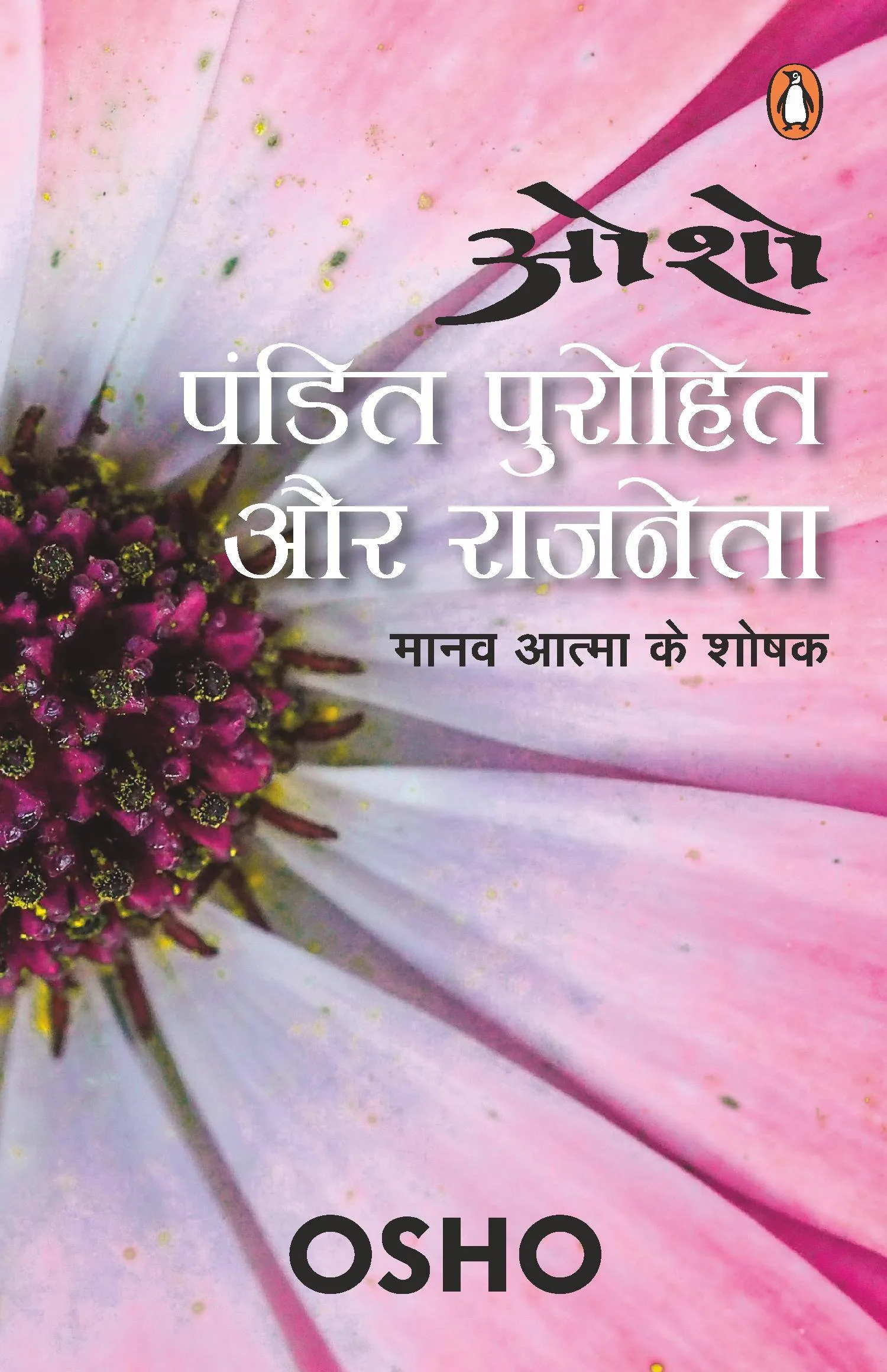 Pandit Purohit Aur Rajneta: Manav...