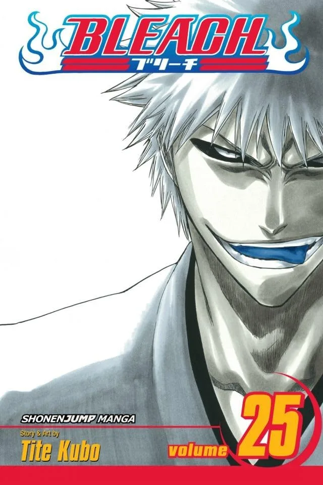 Bleach Vol. 25