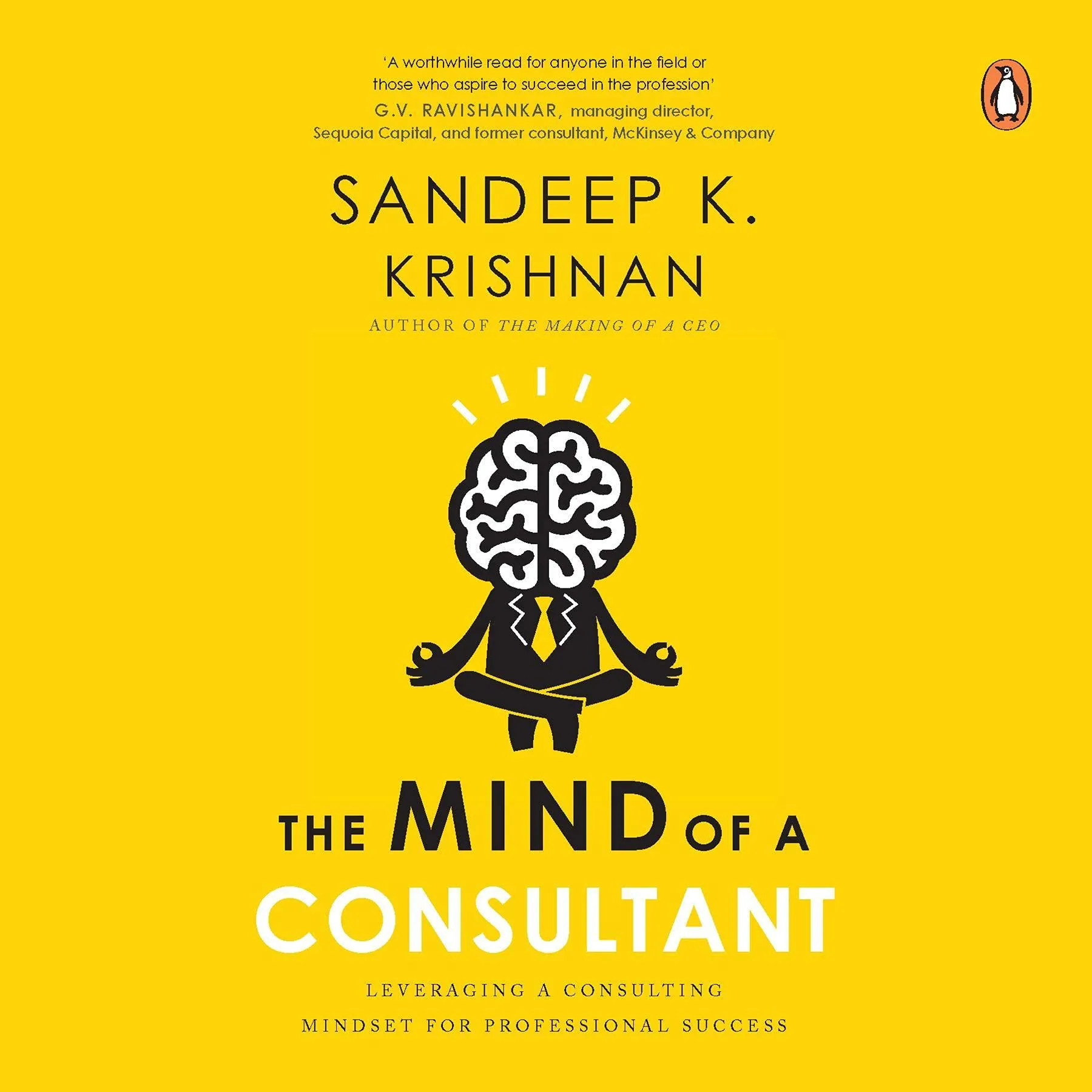 Mind of a Consultant