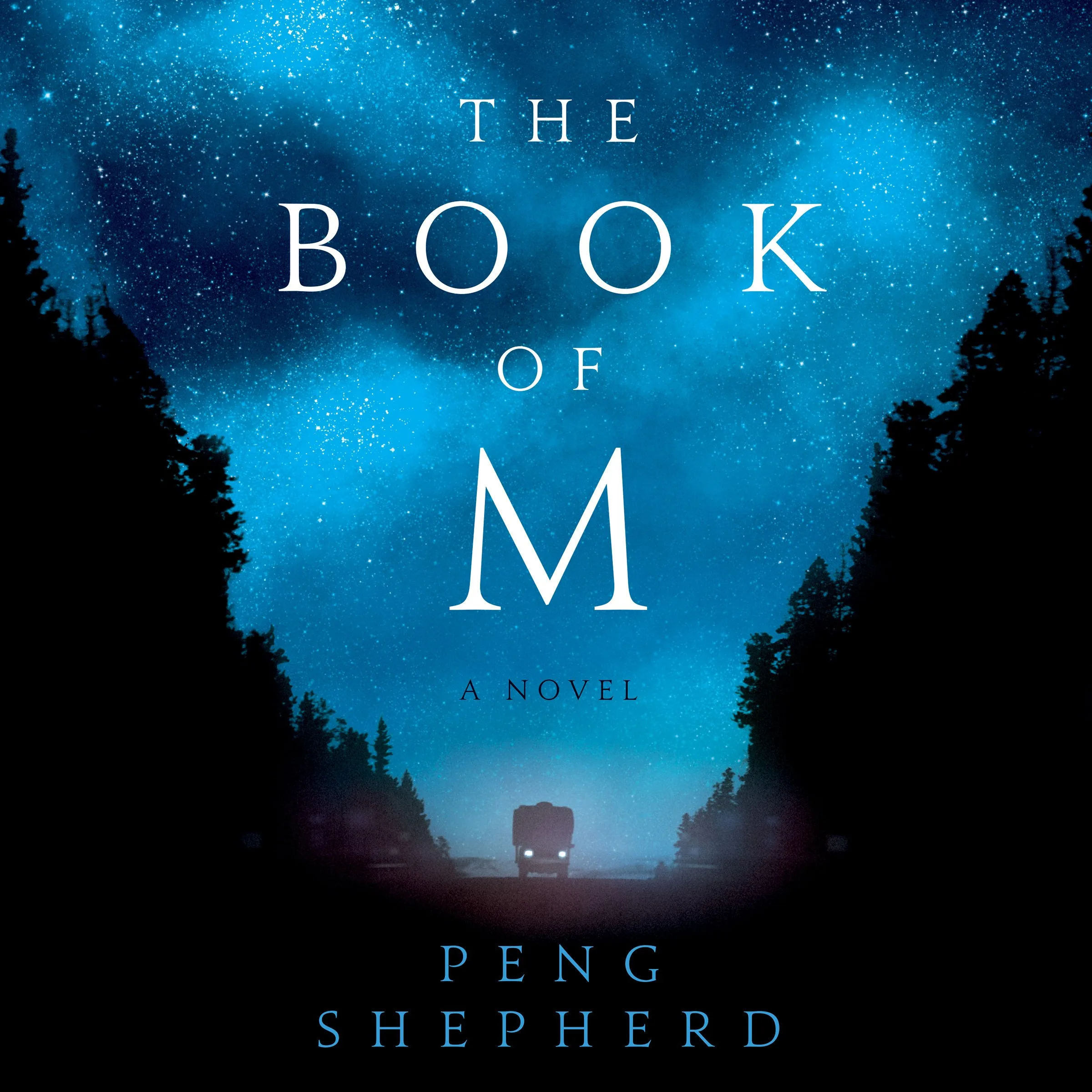 THE BOOK OF M