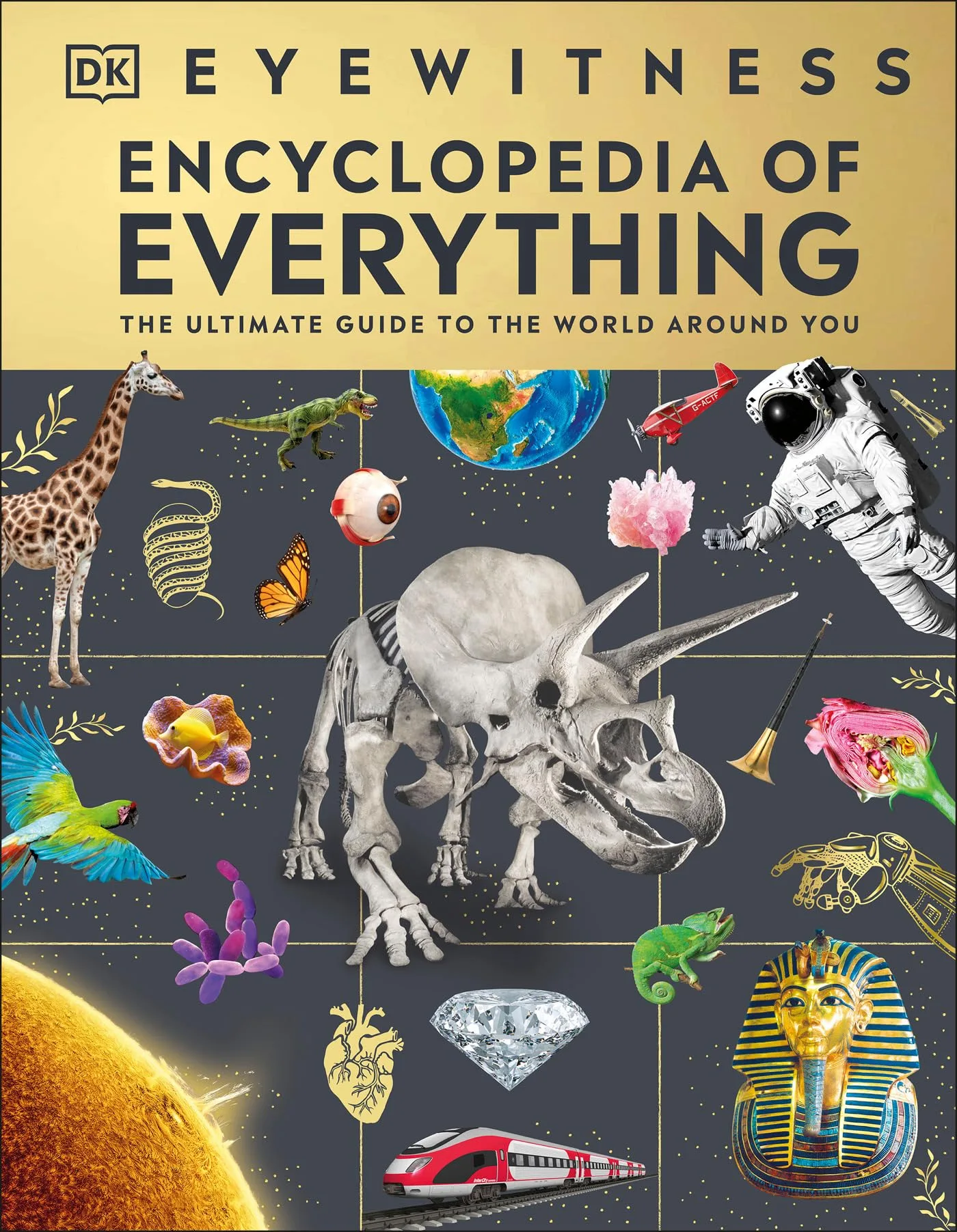 Eyewitness Encyclopedia of Everything