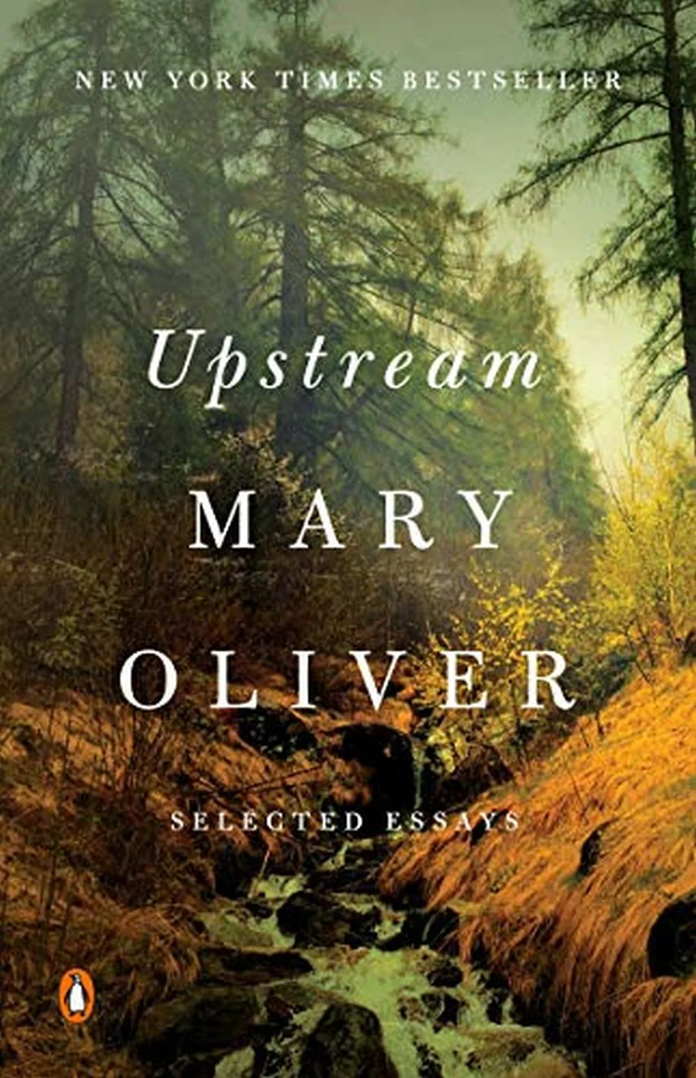 Oliver, Mary