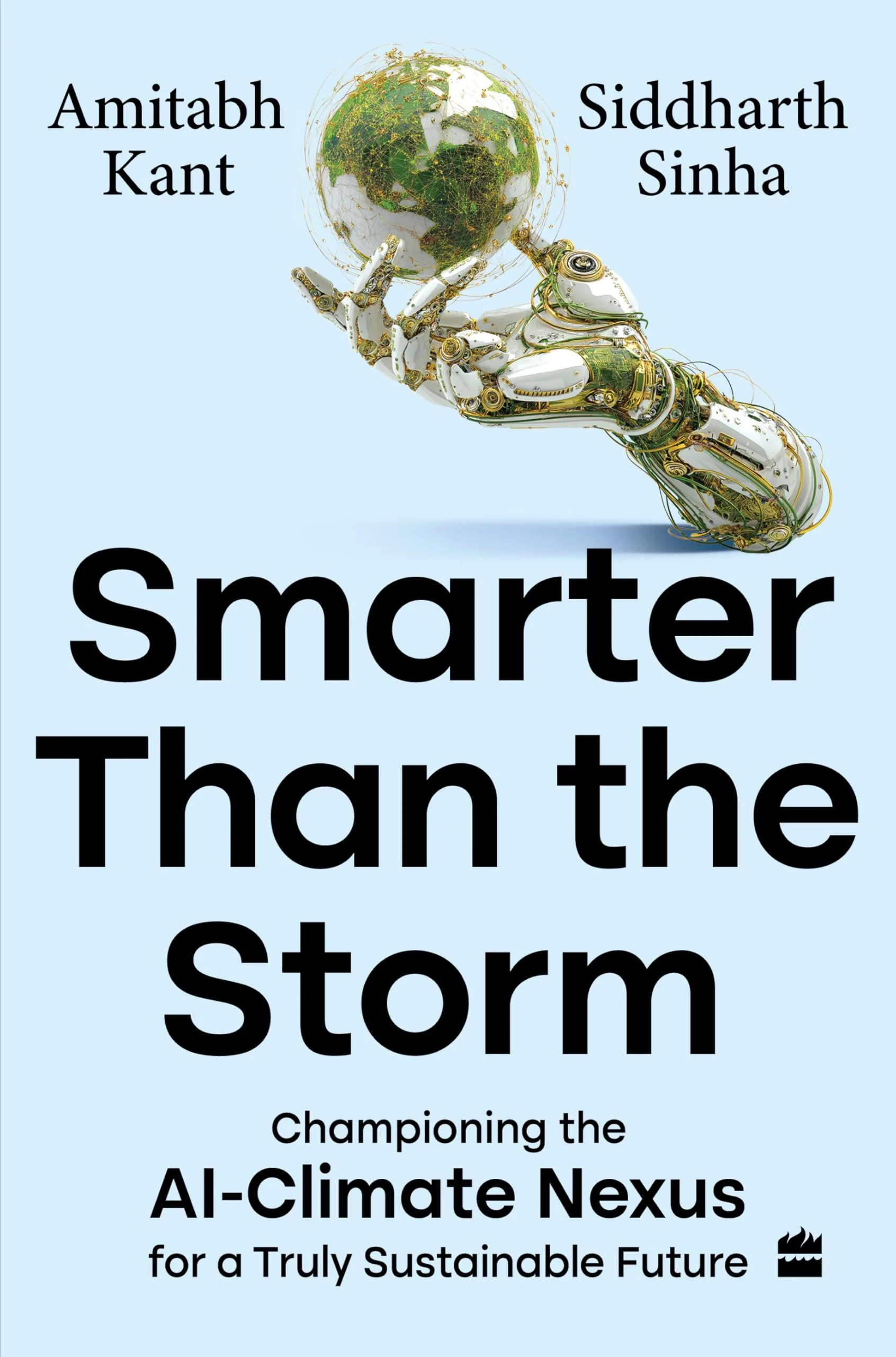 Smarter than the Storm : Championing the AI‚ÄìClimate Nexus for a Truly Sustainable Future