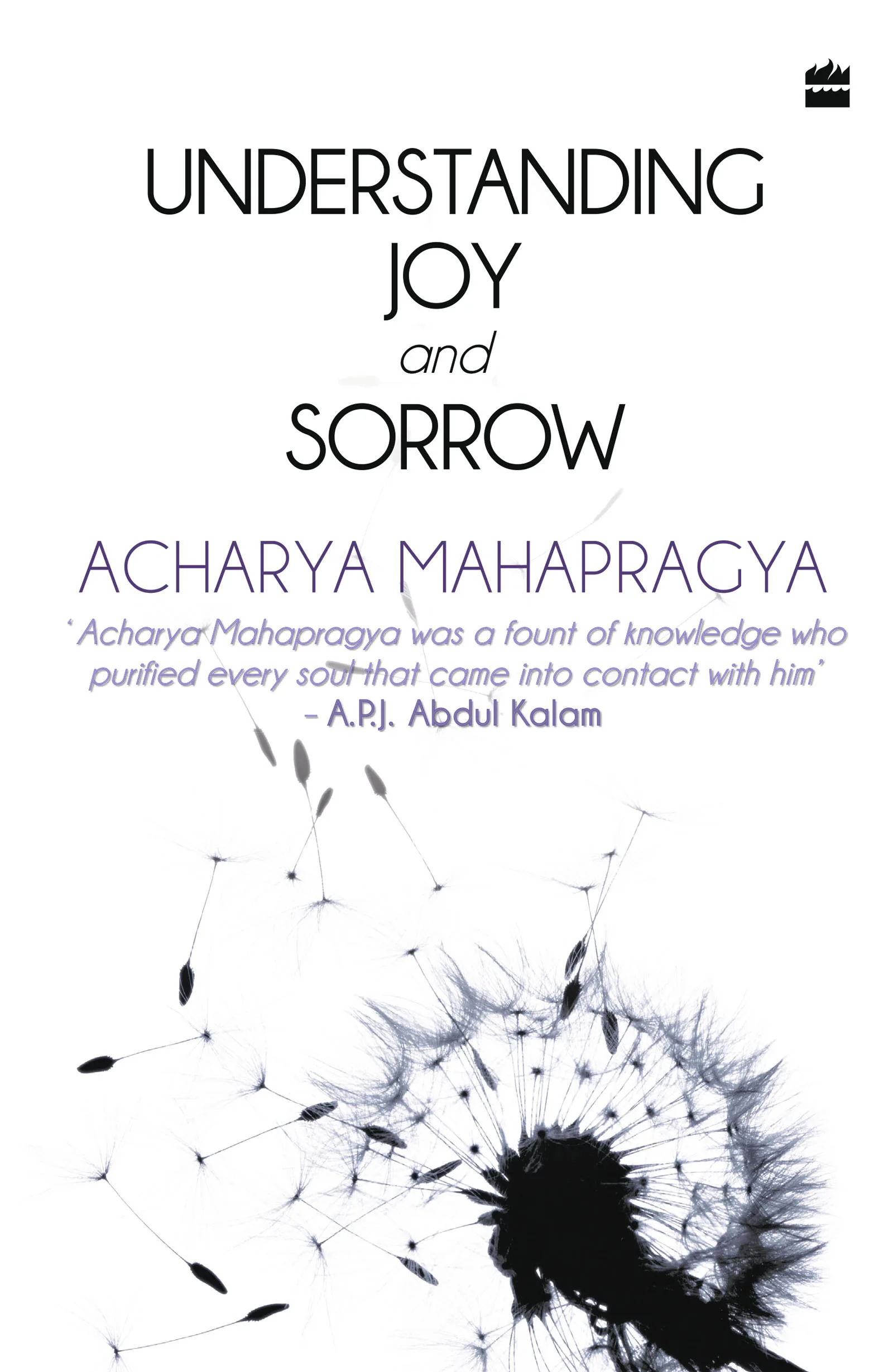 UNDERSTANDING JOY AND SORROW