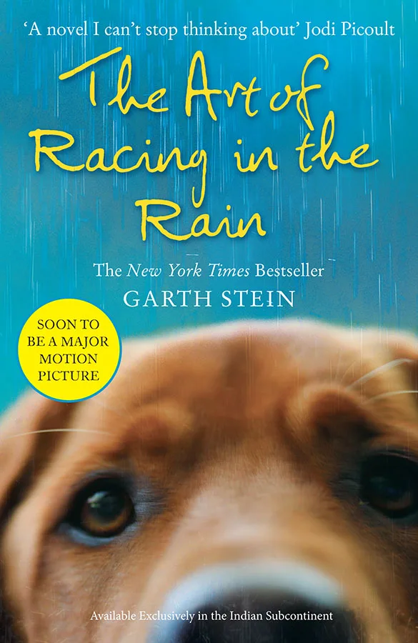 ART OF RACING IN THE RAIN THE