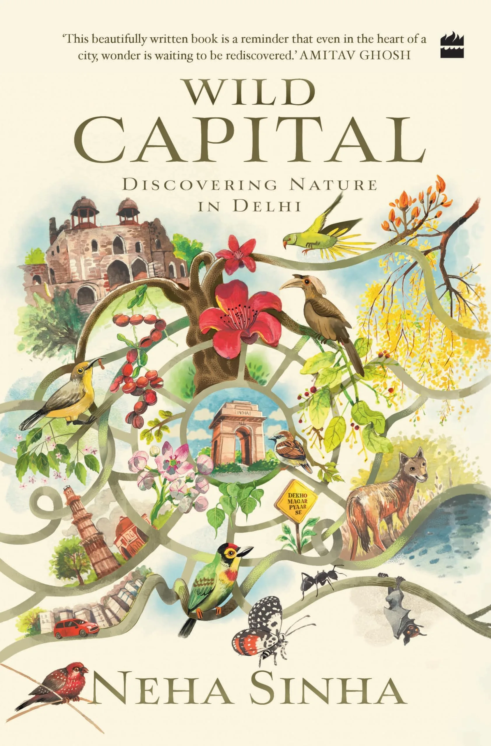 Wild Capital : Discovering Nature in Delhi