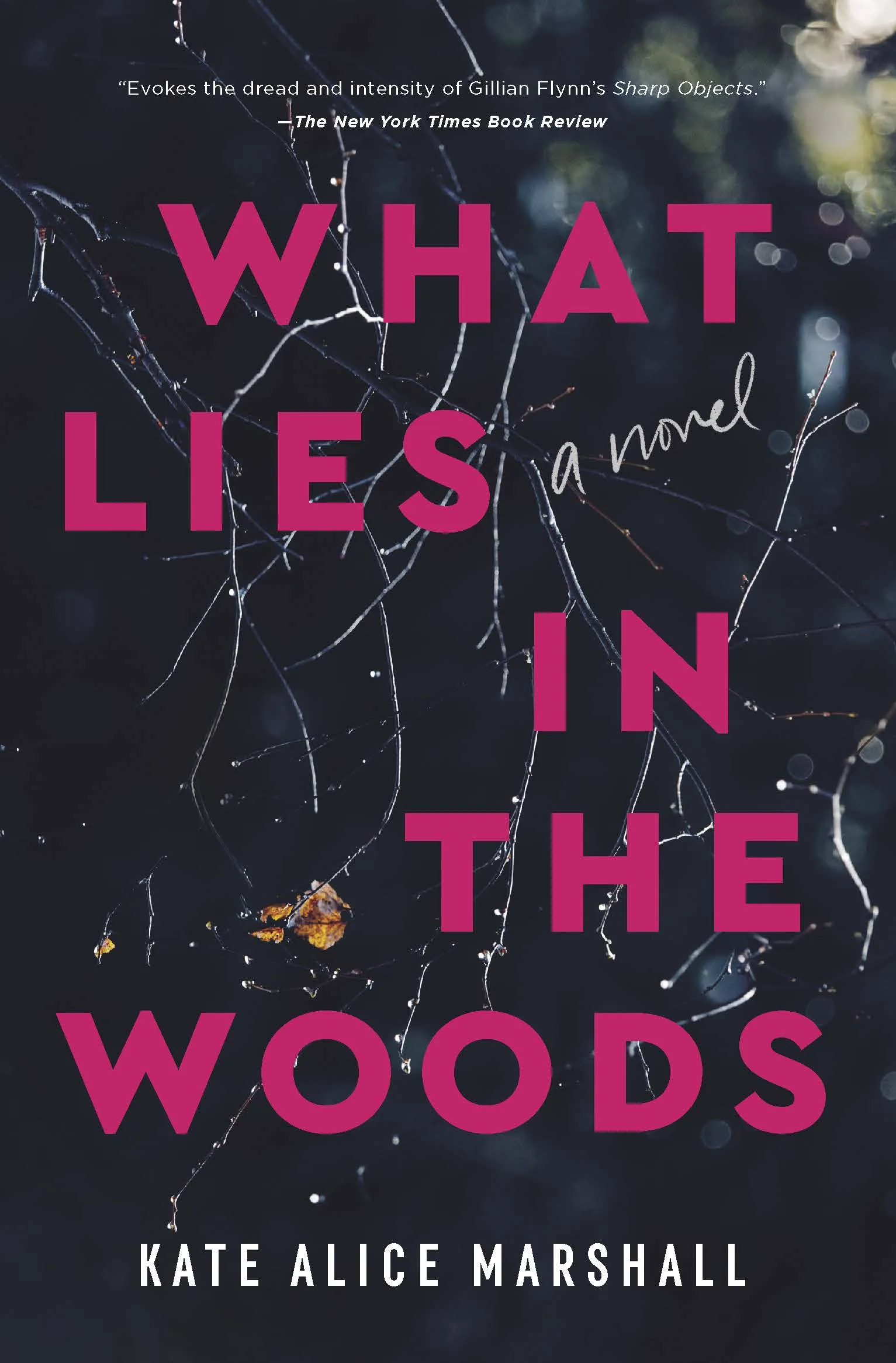 What Lies in the Woods : A Novel