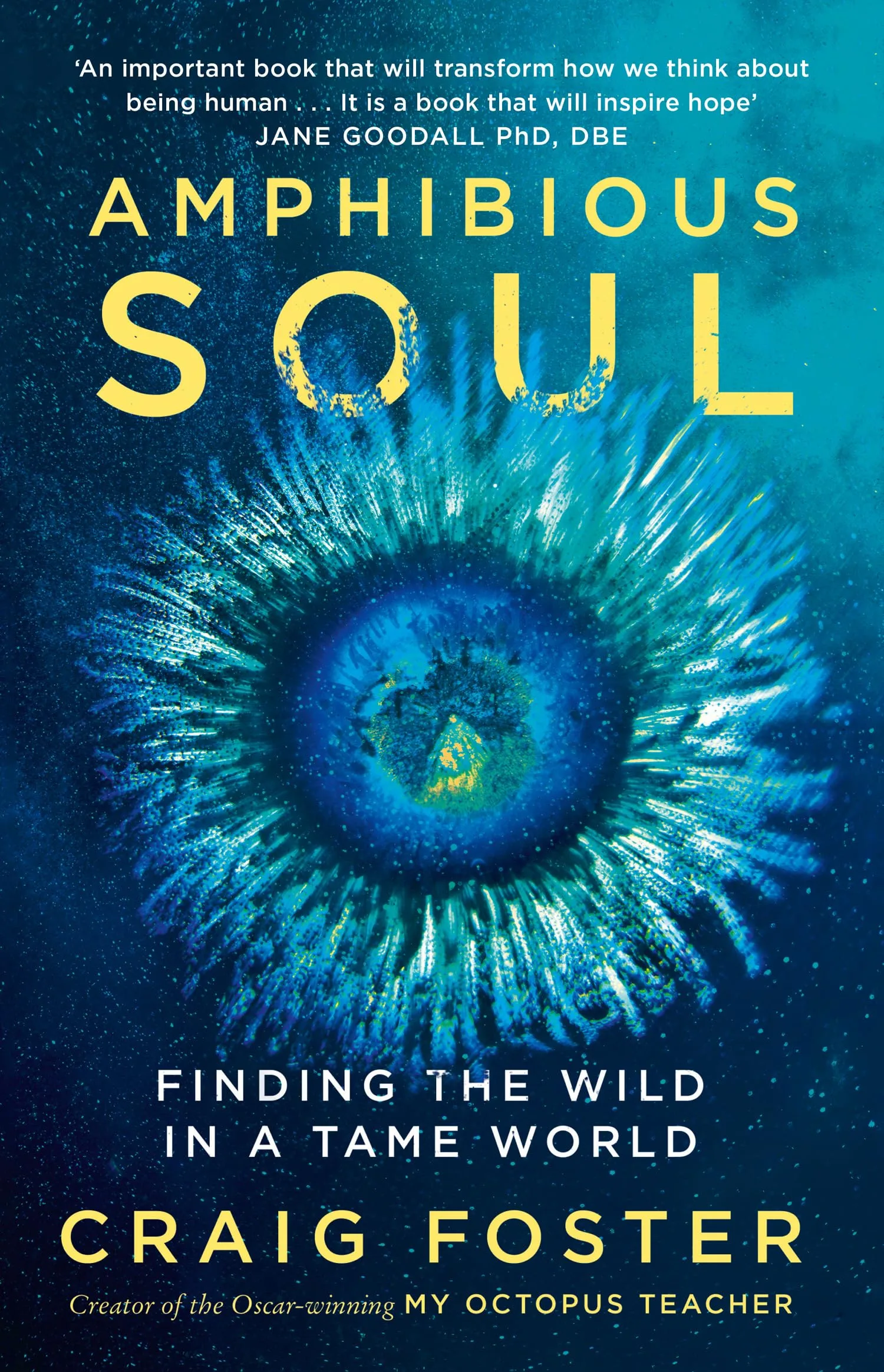 AMPHIBIOUS SOUL: Finding the wild in a tame world