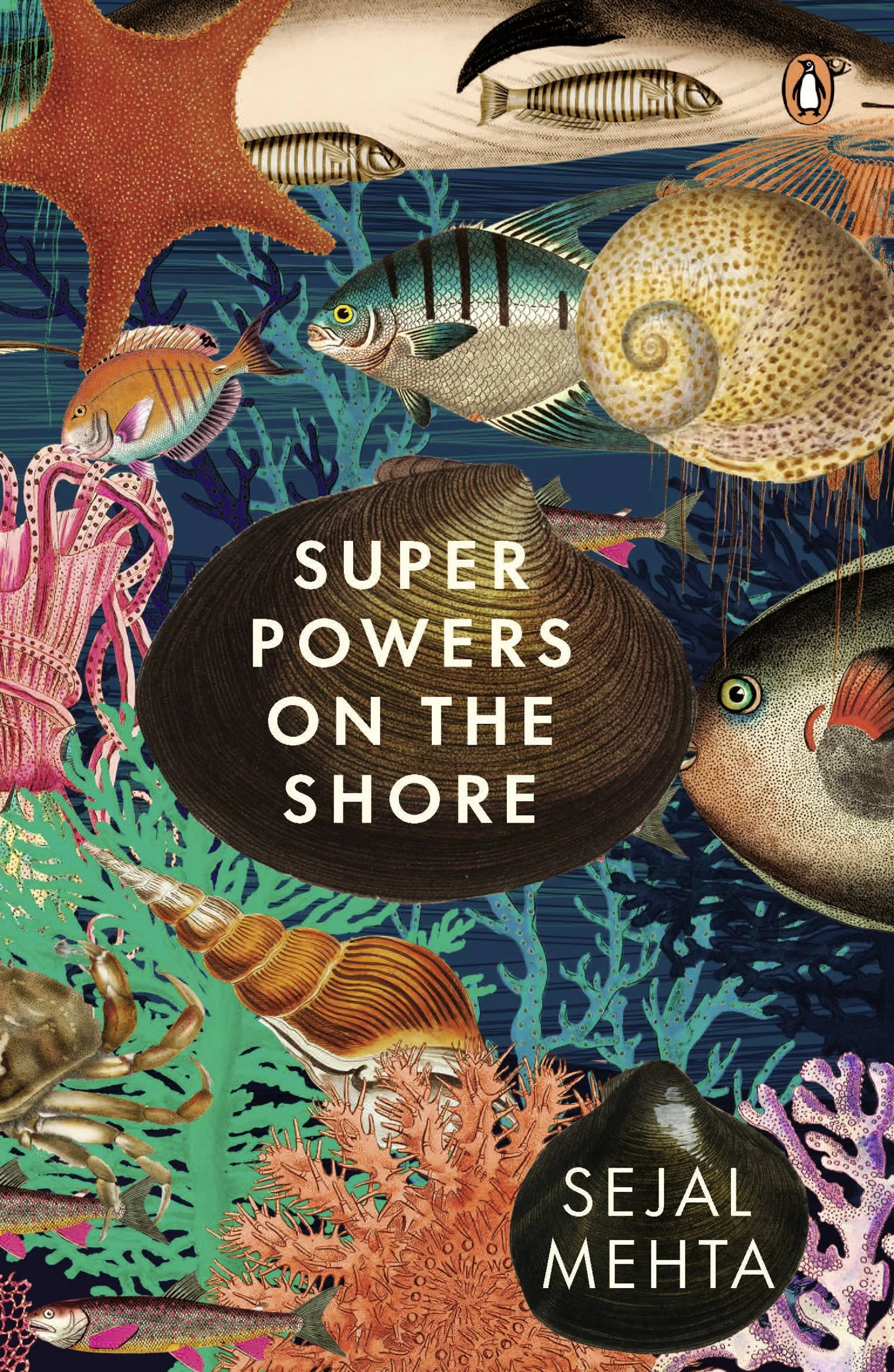 Super Powers on the Shore