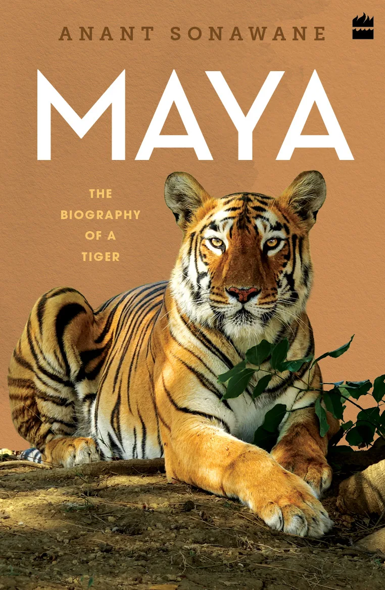 Maya : The Biography of a Tiger