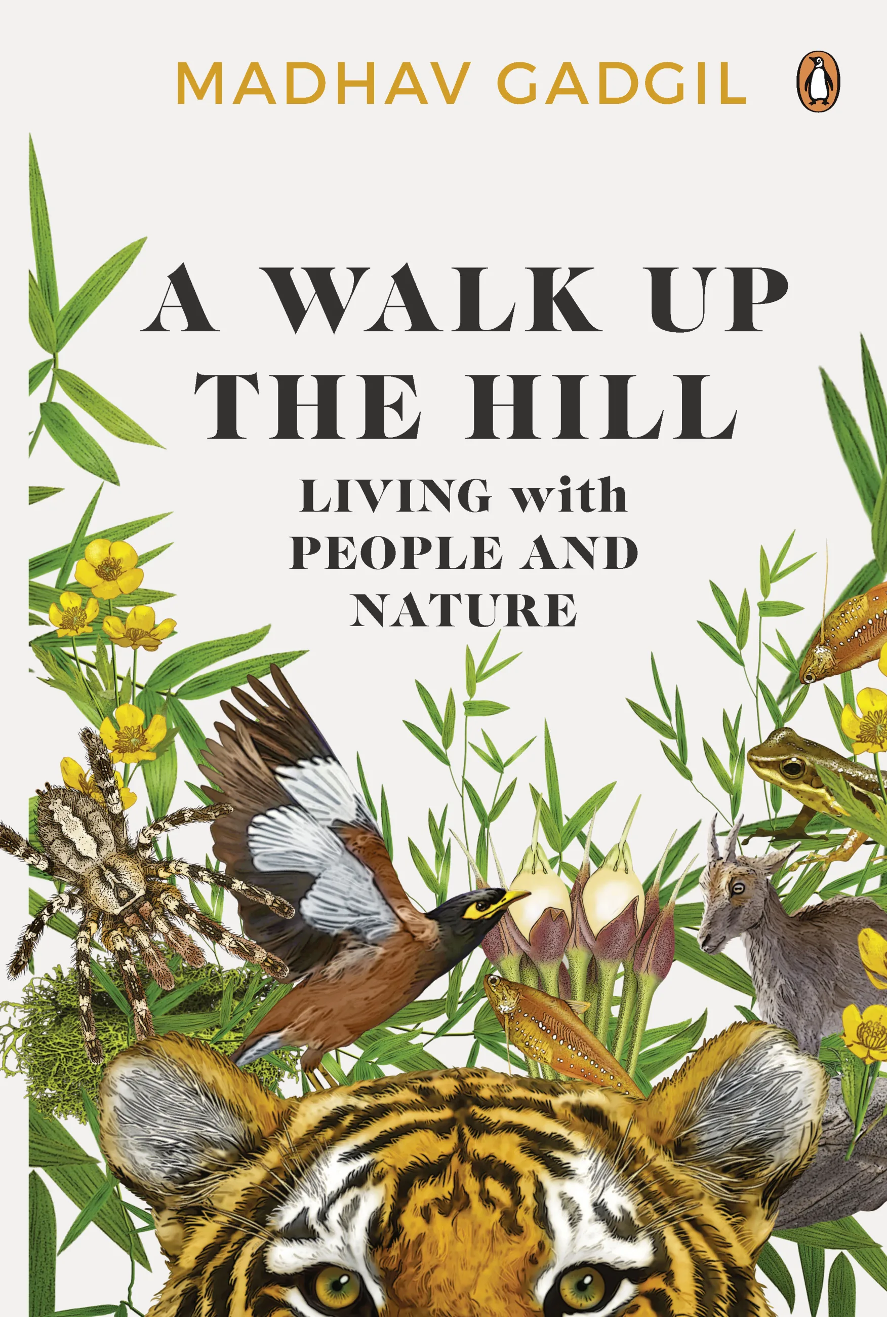 Walk Up the Hill