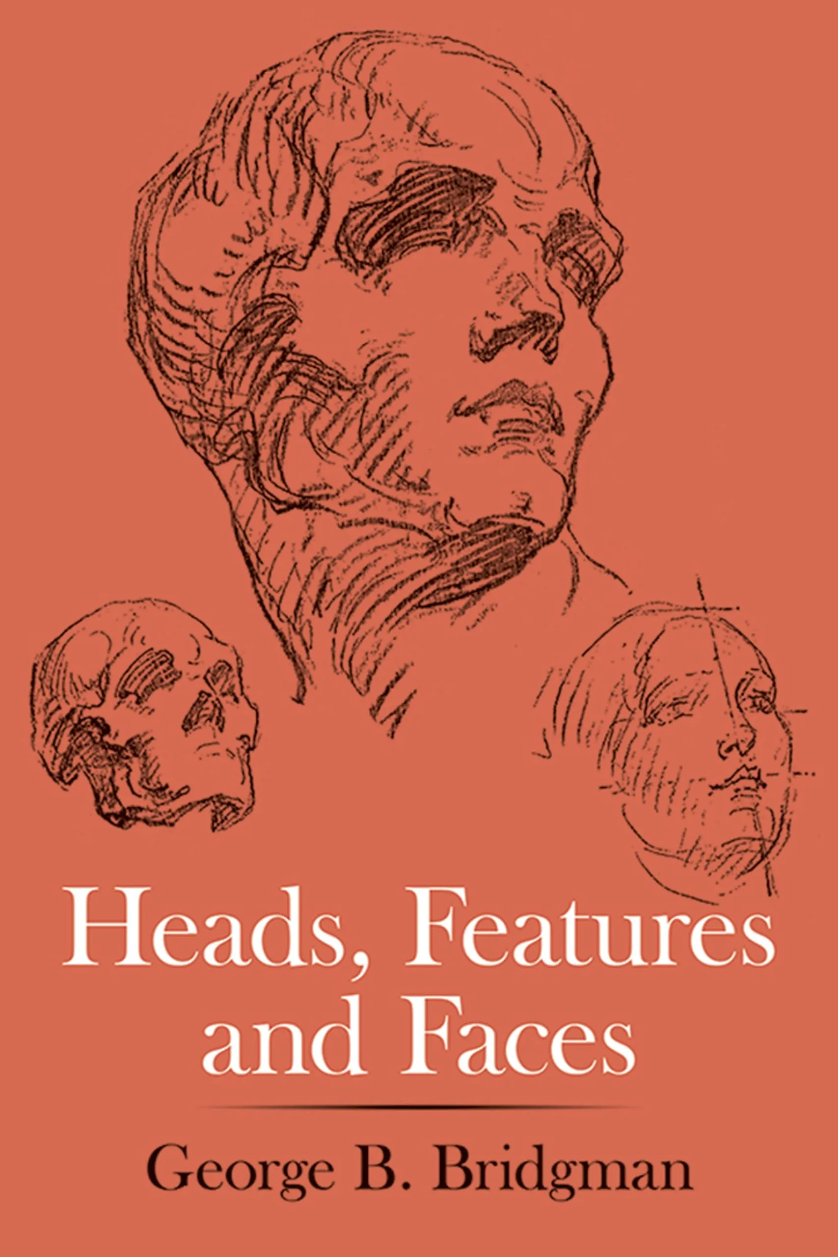 Heads Features and Faces