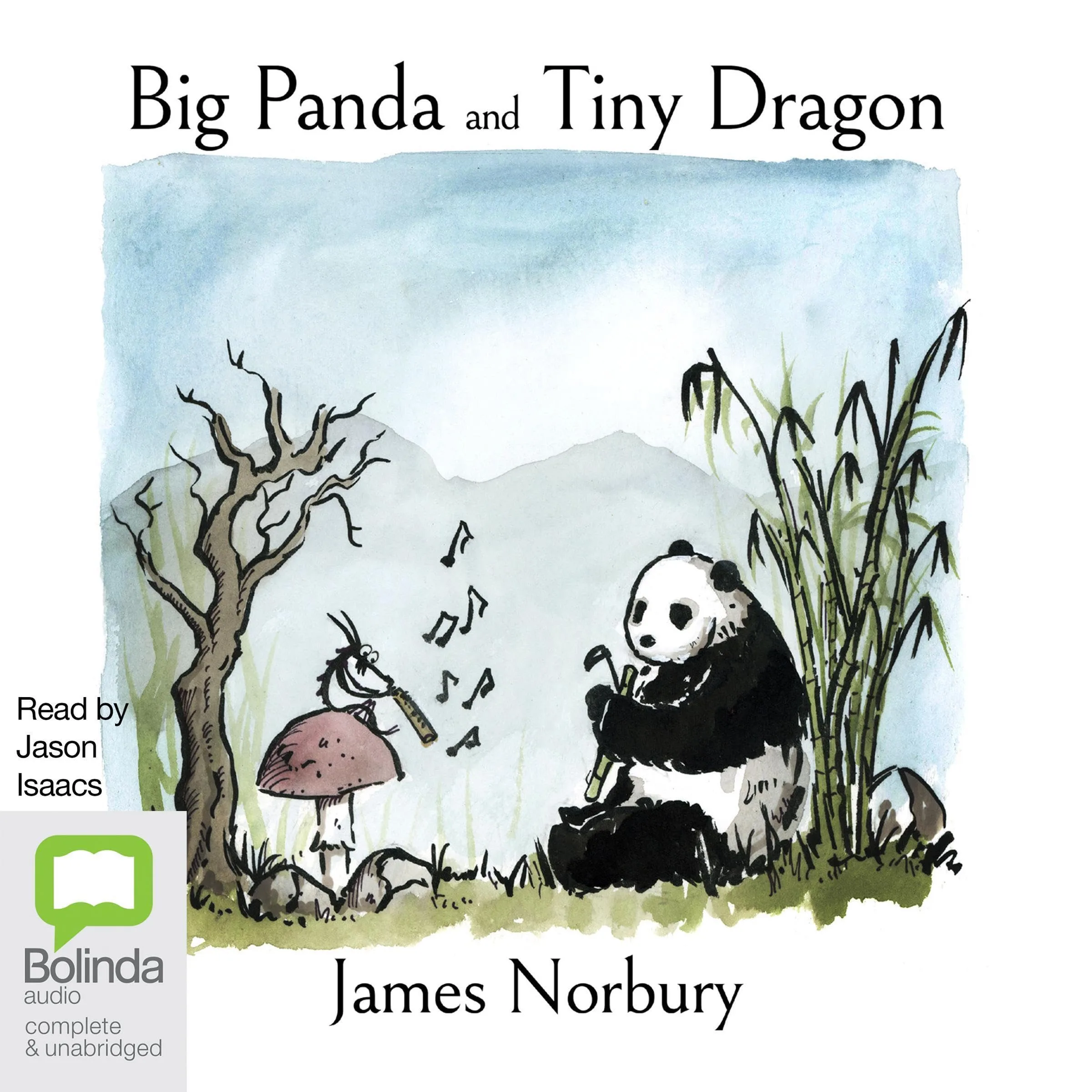 Big Panda and Tiny Dragon