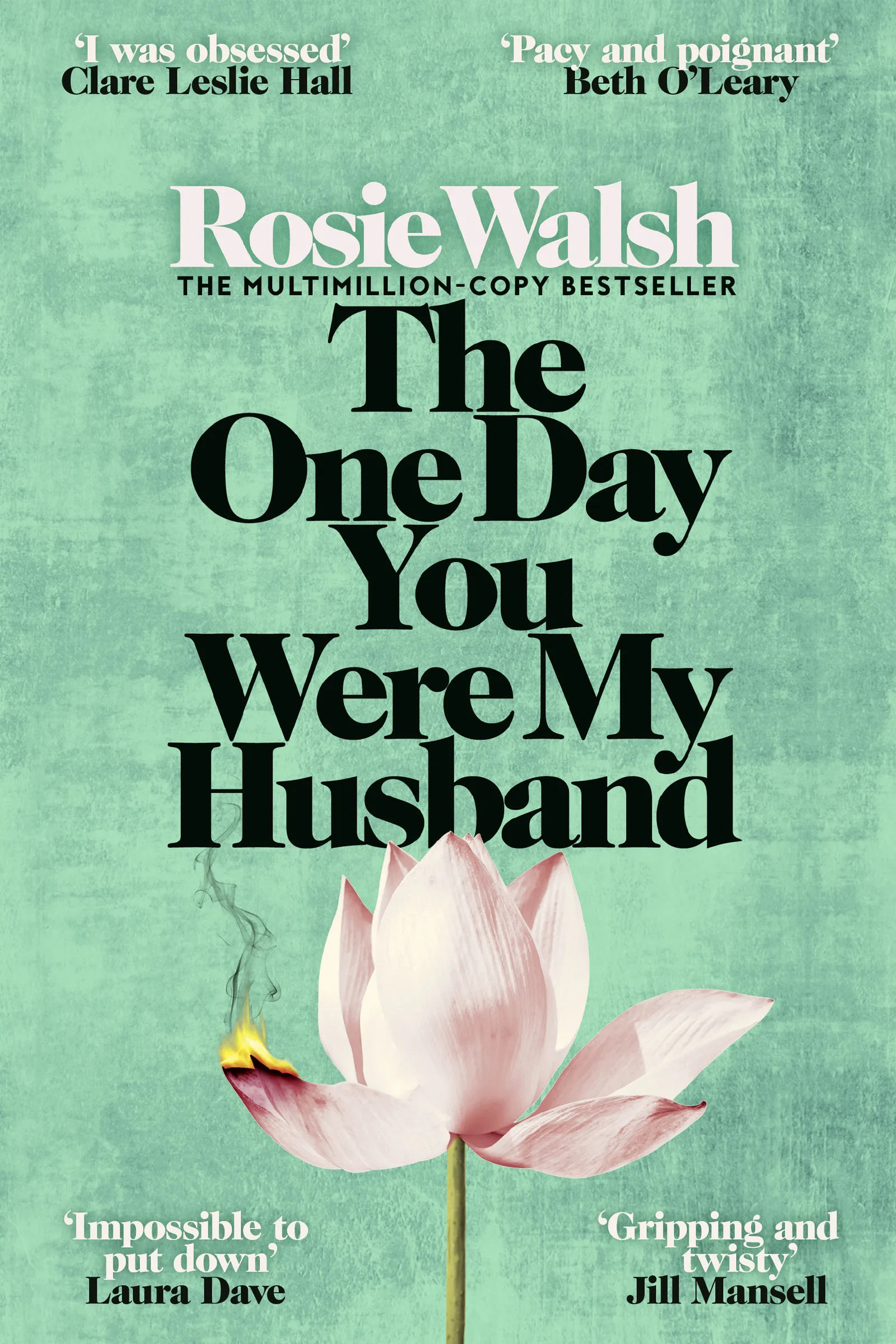 The One Day You Were My Husband