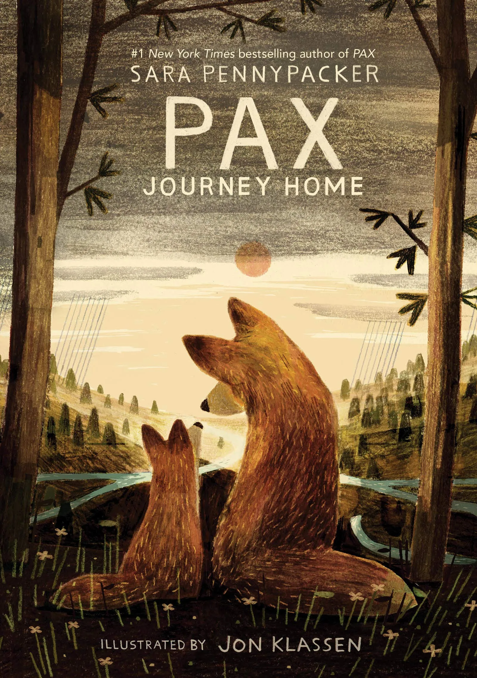 PAX JOURNEY HOME