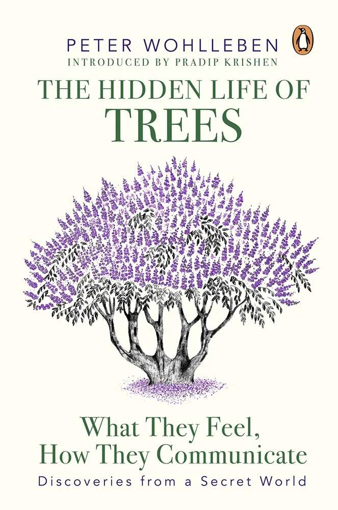 The Hidden Life of Trees What They Feel How They Communicate