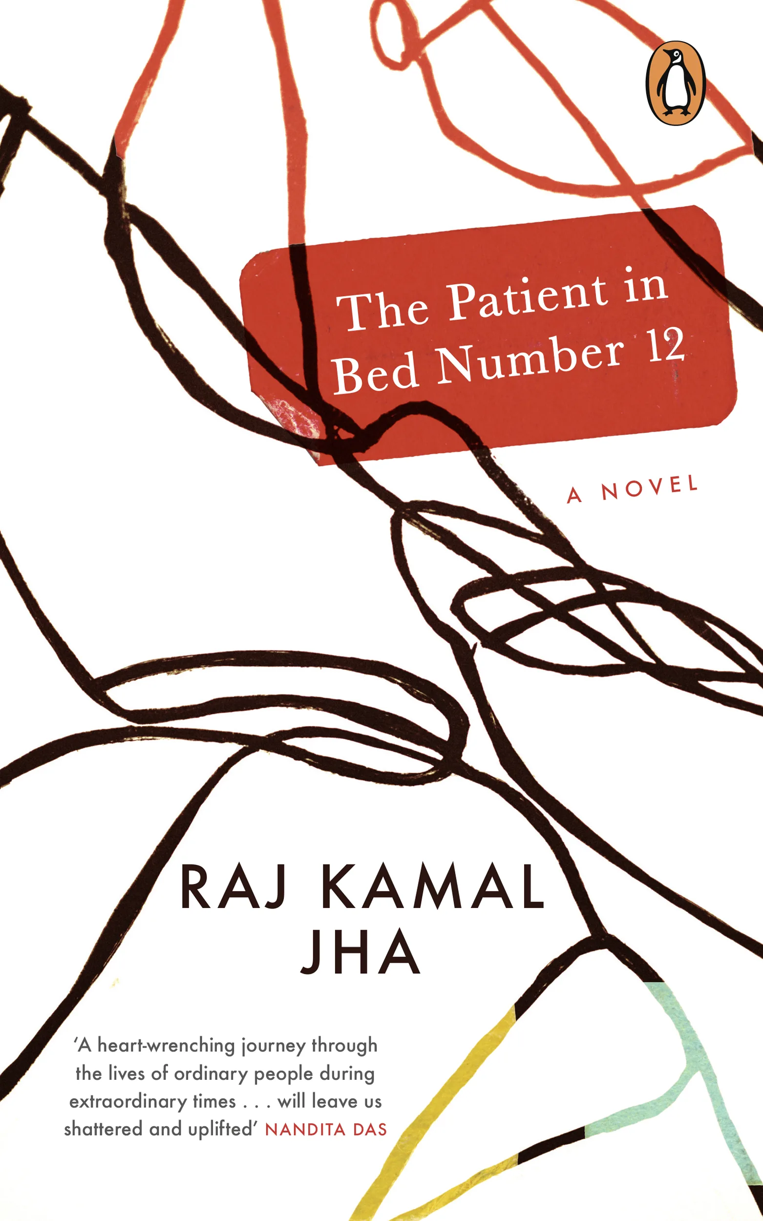 Raj Kamal Jha
